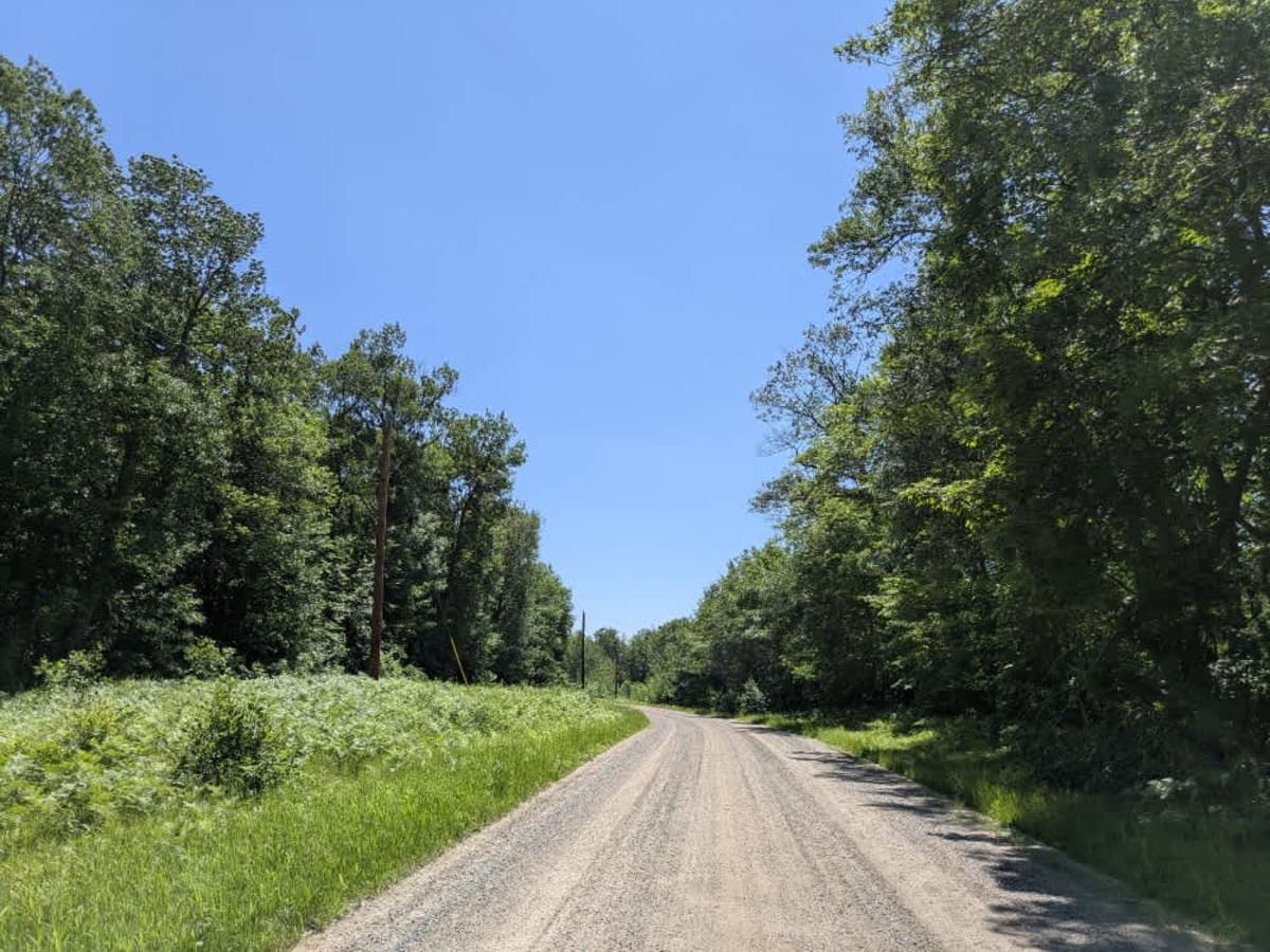 FS 2108 trail photo