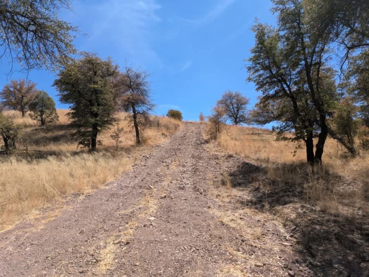 Parker Canyon photo 6
