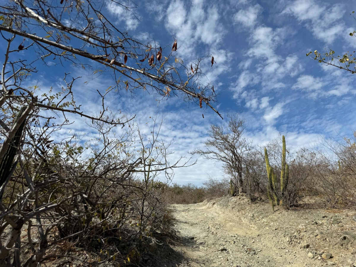 El Rosario Cutoff photo 3