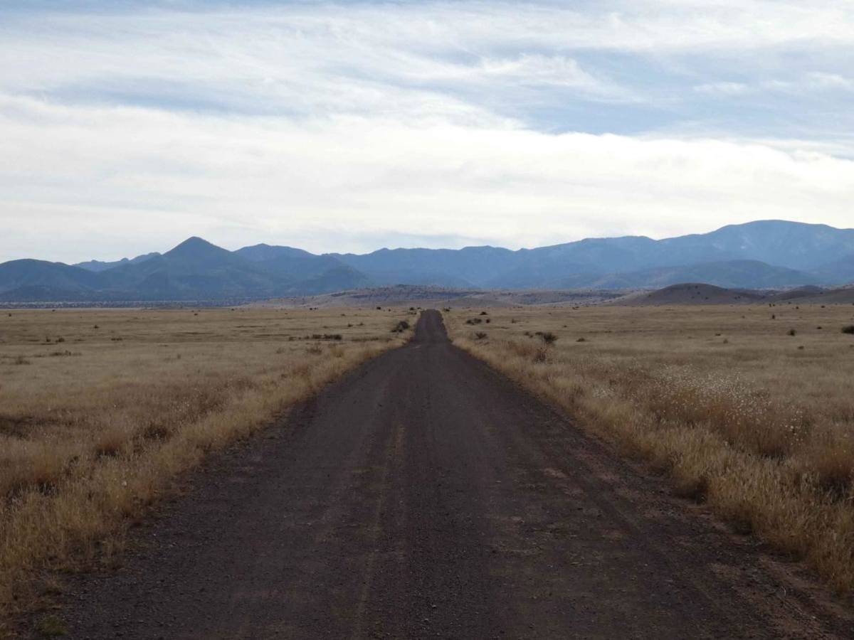 Wildcat Run trail photo