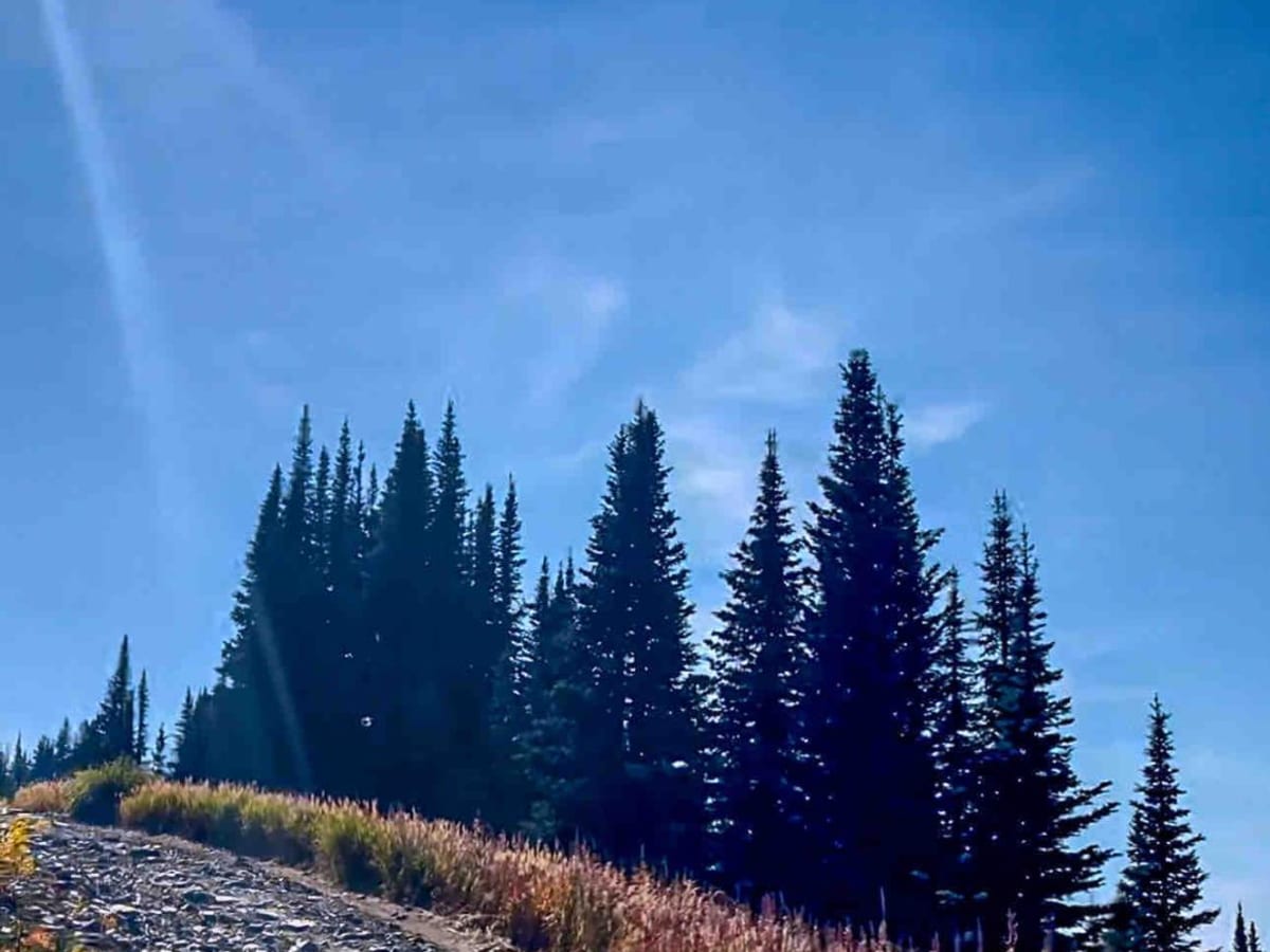 Canoe Mountain Rd photo 6