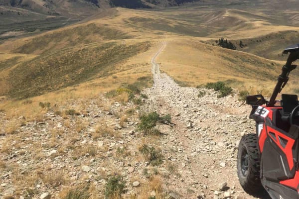 Deadhorse Road