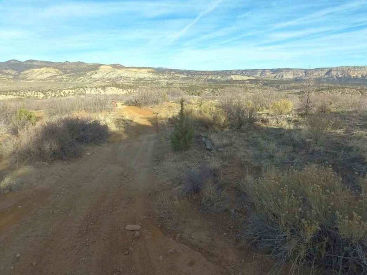 Trail Canyon photo 2