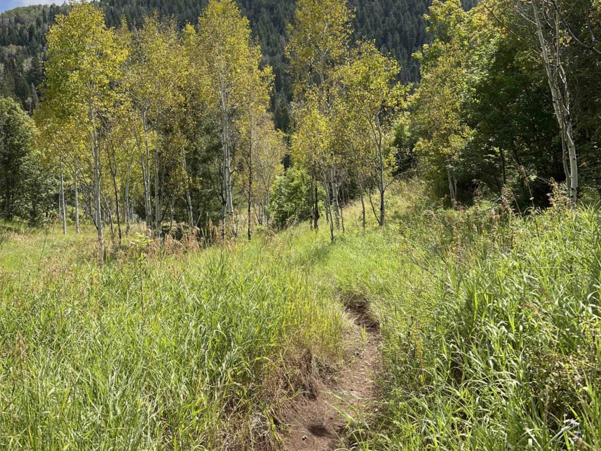 Holman Ridge-Cabin Flat (2172) photo 6