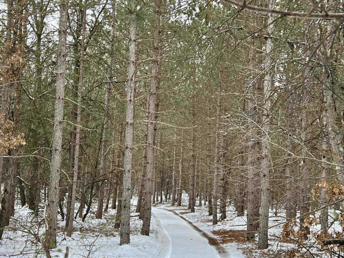 NFS 9905 trail photo