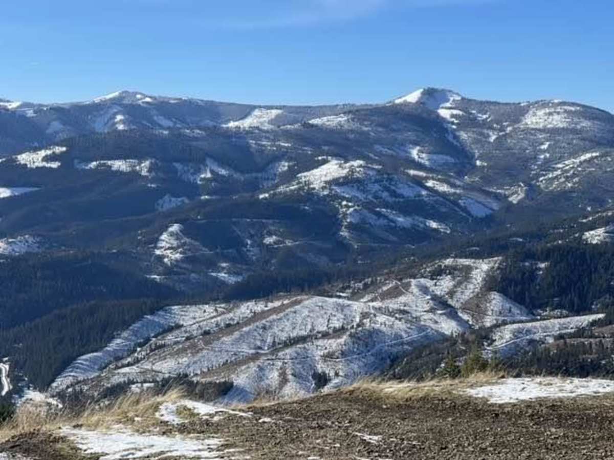Pine Point photo 2