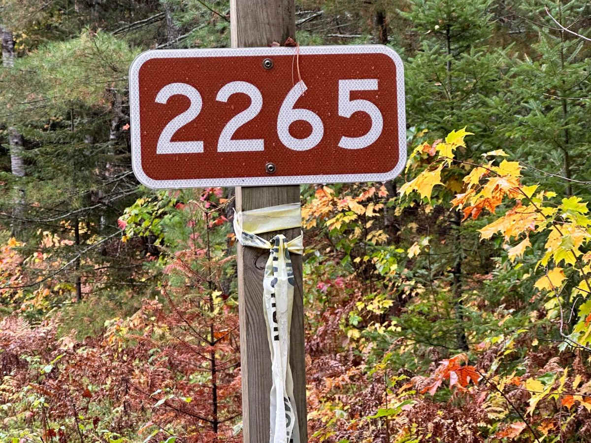 FS 2265 trail photo