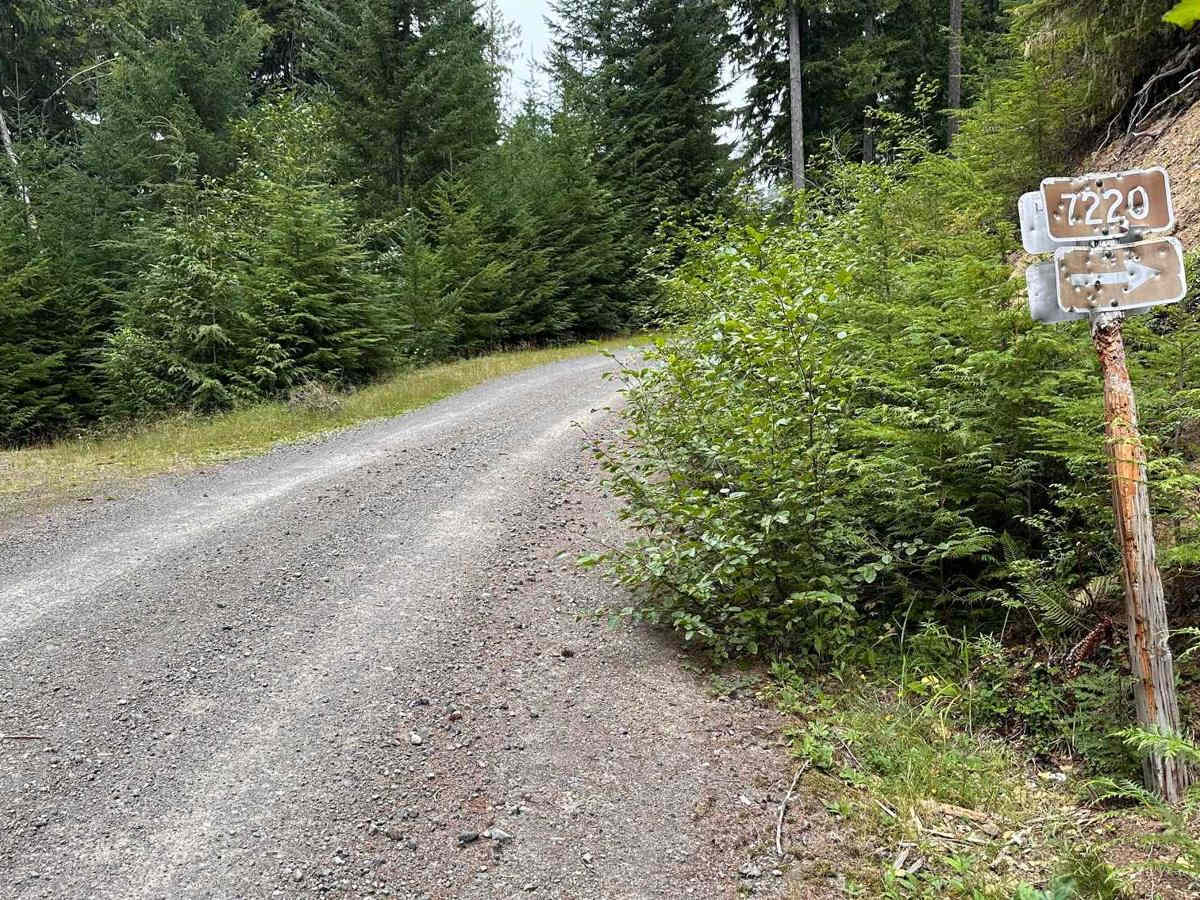 Echo Lake Road - NF 7220 photo 5