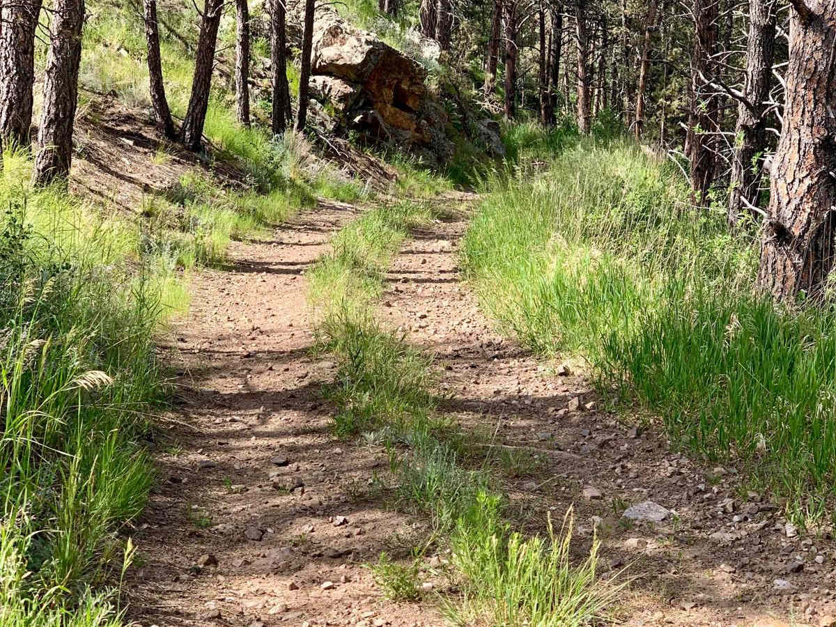 Bowman Road Loop trail photo