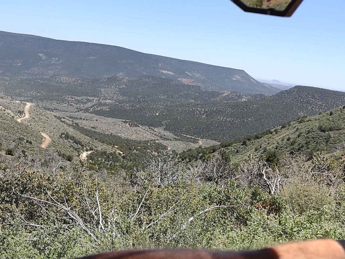 Maple Canyon to Stone Cabin (Black Rock Rd 1004) photo 6