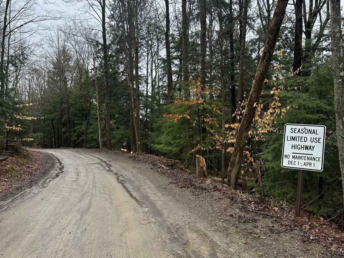 Ricewoods Road trail photo