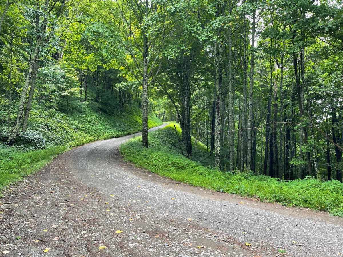 Little Stoney Creek/Laurel Fork photo 3