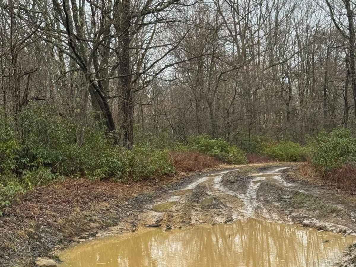 Eddy Lick Trail photo 6