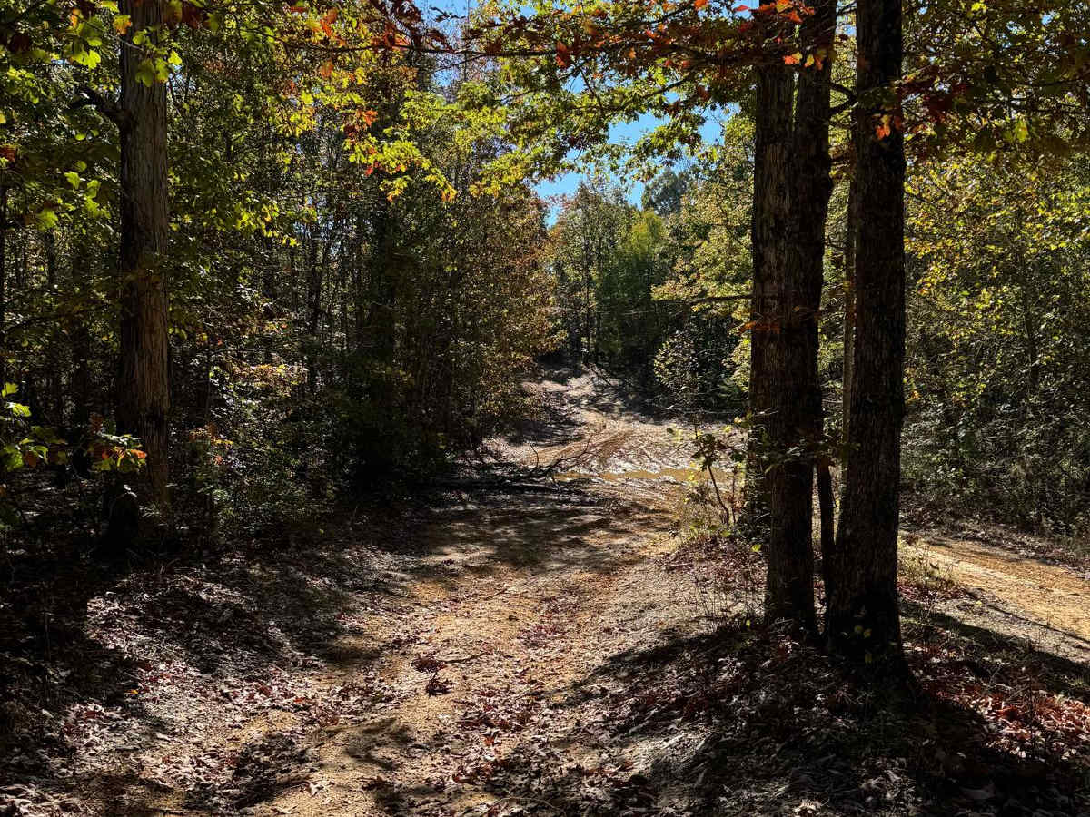 Blue Polaris Outfitter Trail photo 3