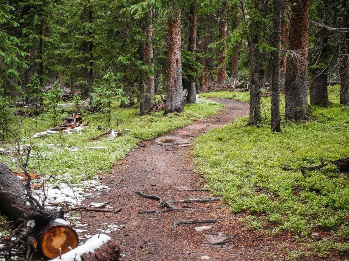 Cameron Gulch photo 4