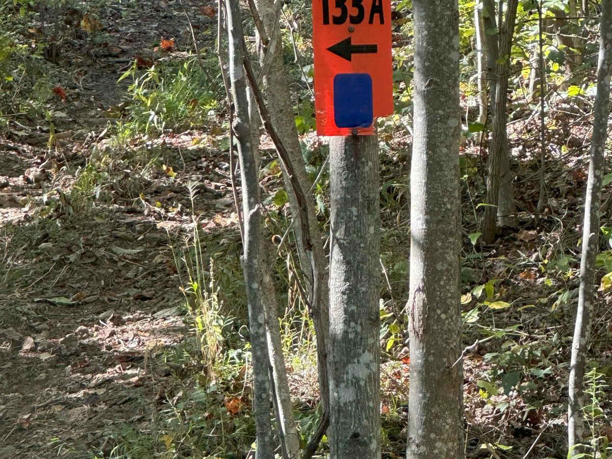 133A trail photo