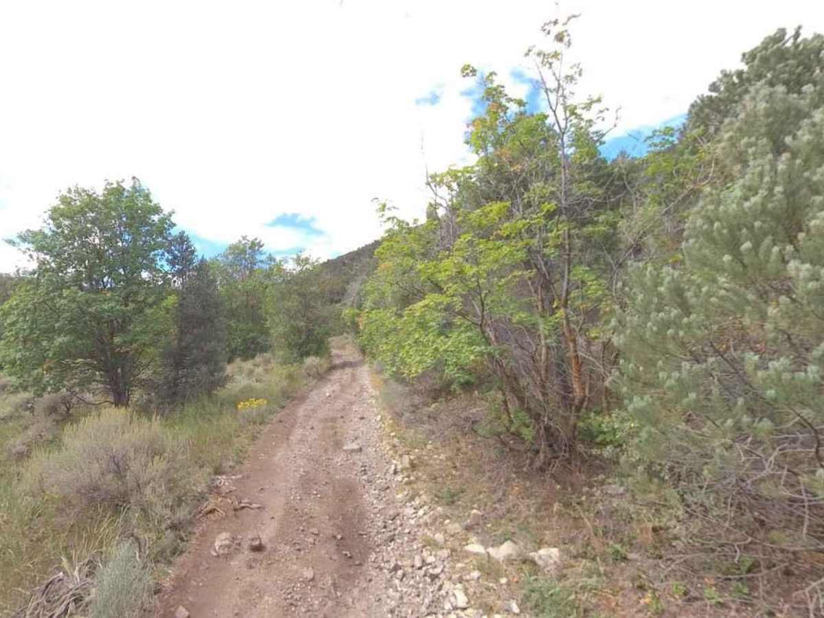 Broad Canyon Road - UCB823 photo 6