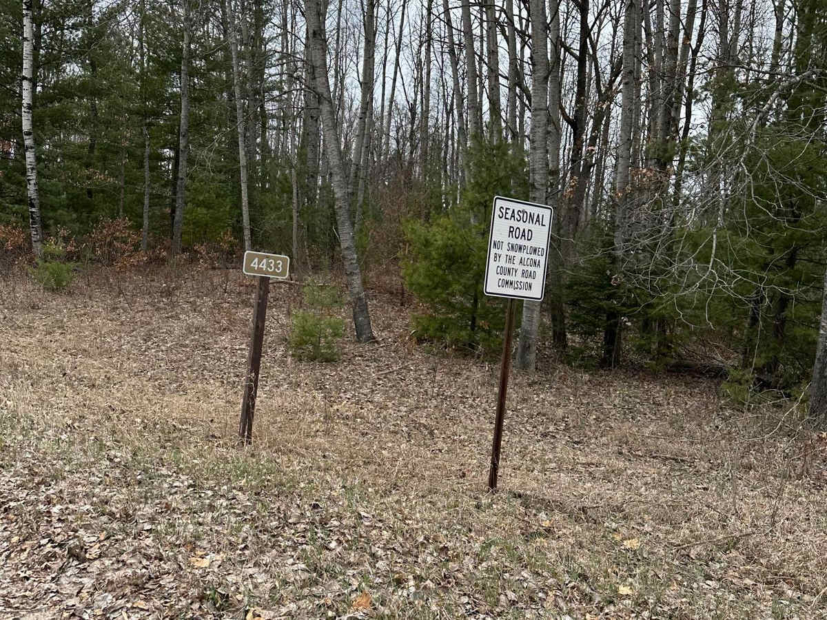 FS 4433 trail photo