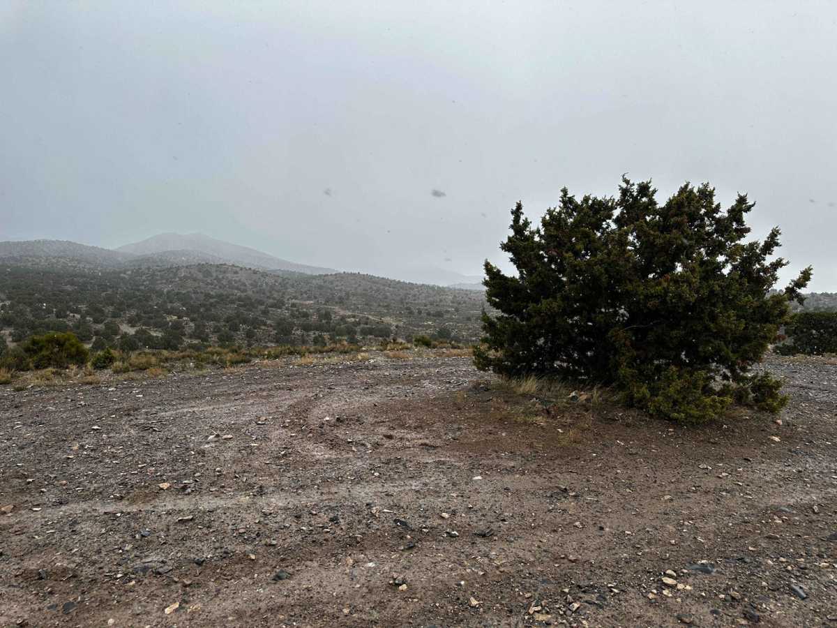 Juniper Pack Trail photo 4