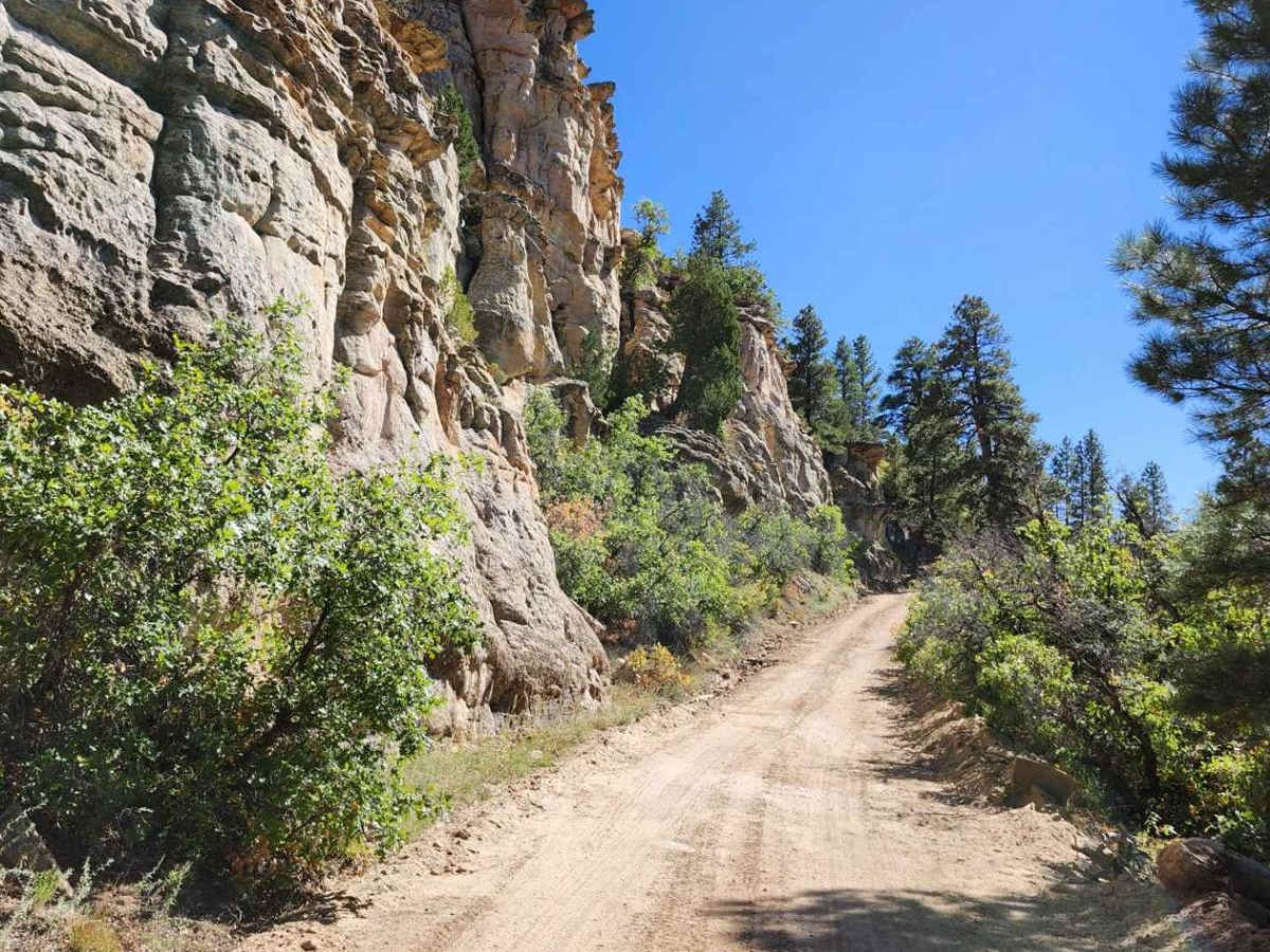 Bulldog Canyon Trail trail photo