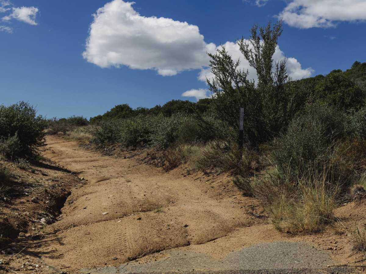 Telegraph Spring Cutoff trail photo