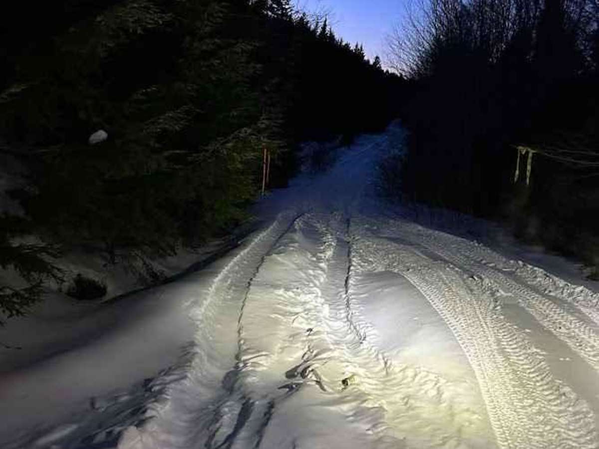 Beeswanger Trail photo 2