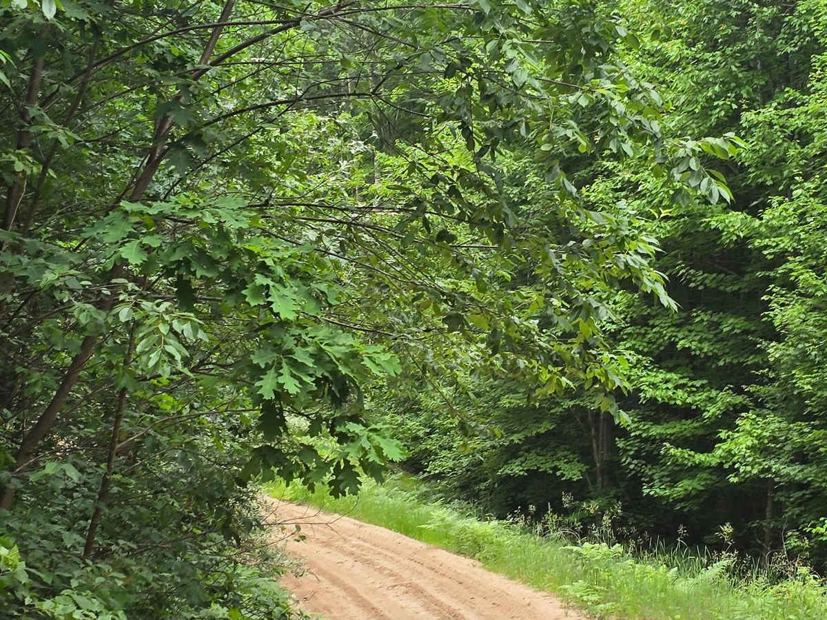 Lentz Trail photo 6