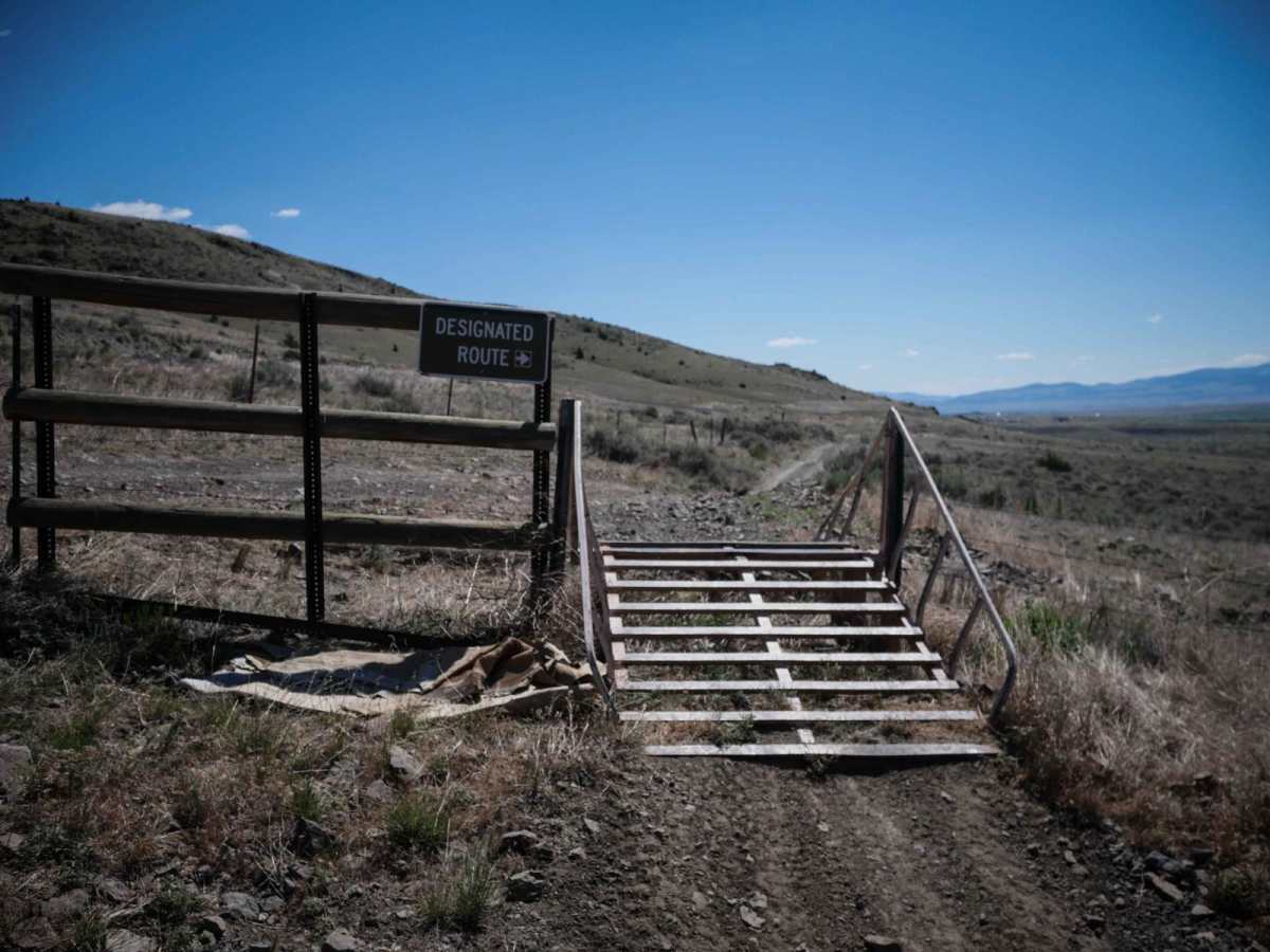 BLM 1 photo 2
