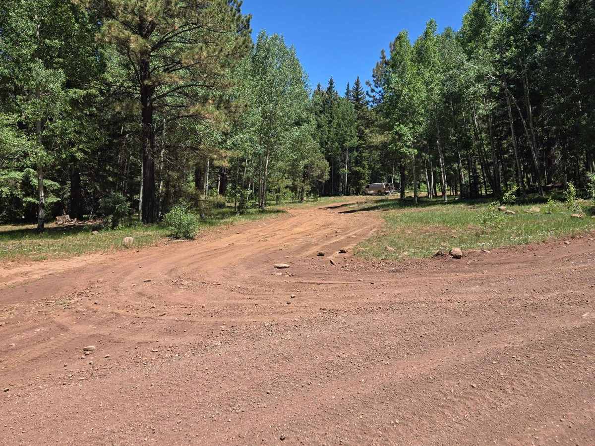 Carnero Springs Road 8556 trail photo