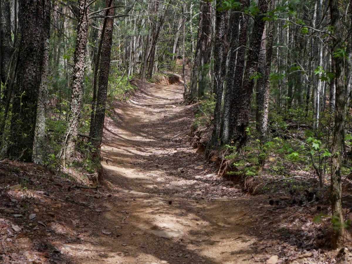 Windy Gap ATV photo 3