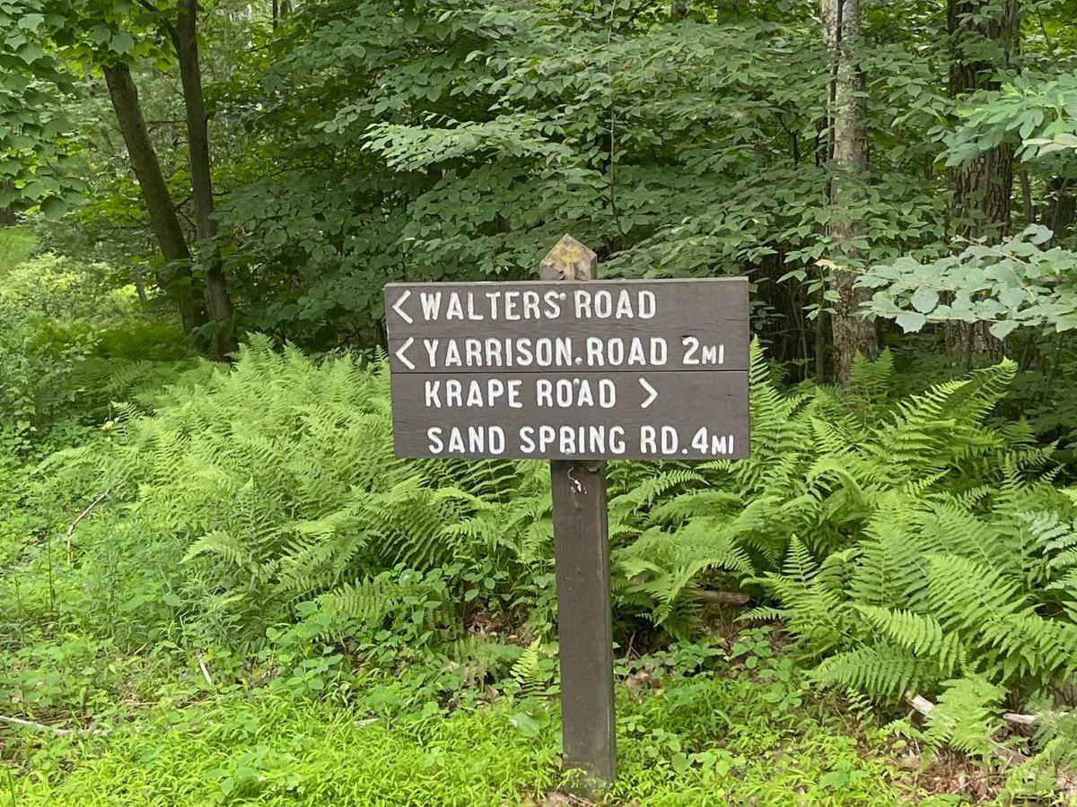 Krape Road trail photo