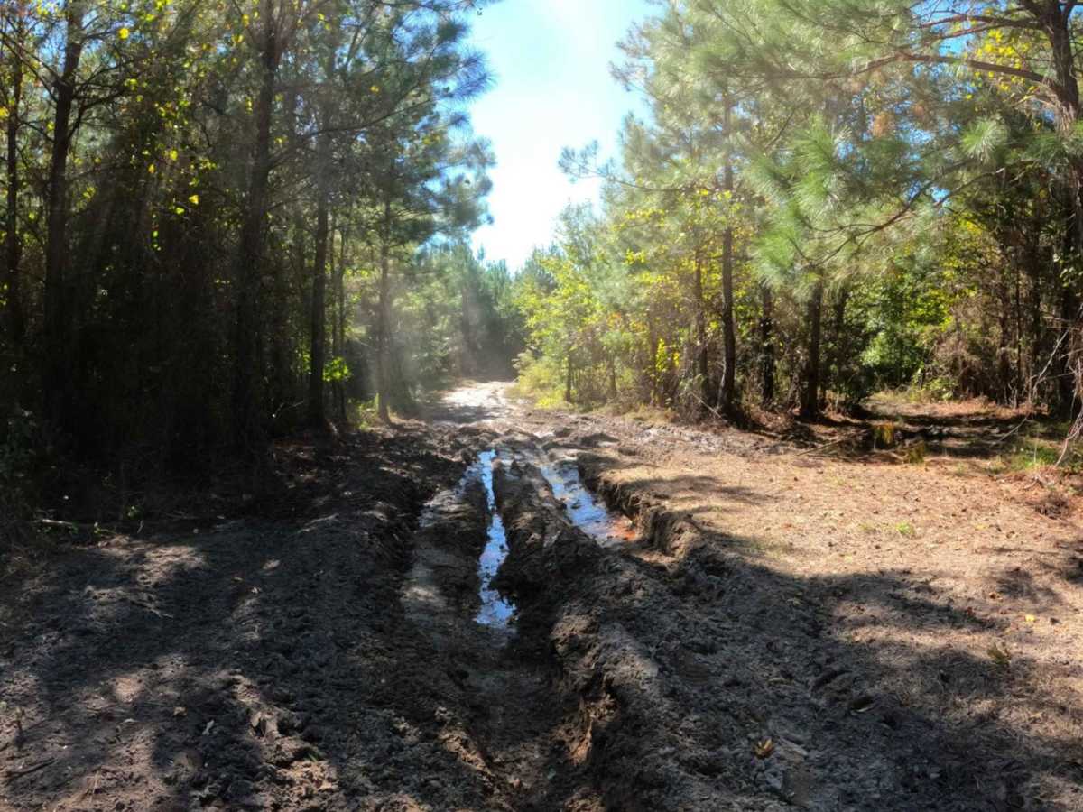 Gary's Gap photo 6