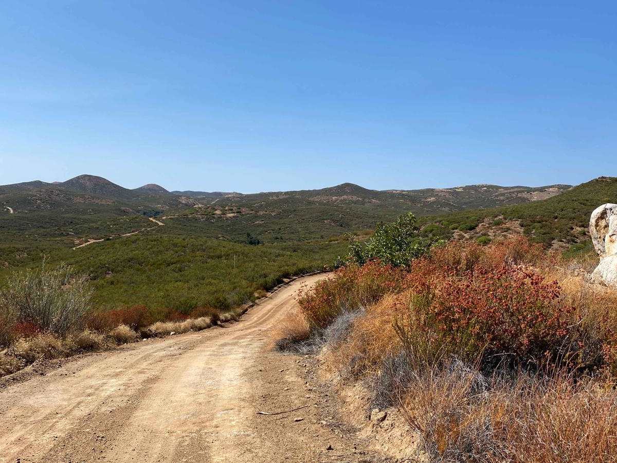 Smooth Scenic Road photo 6