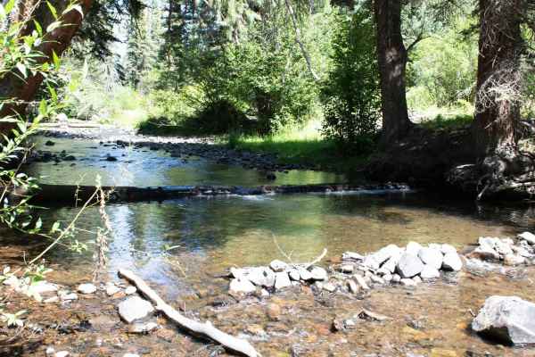 Curecanti Creek Road FR 720