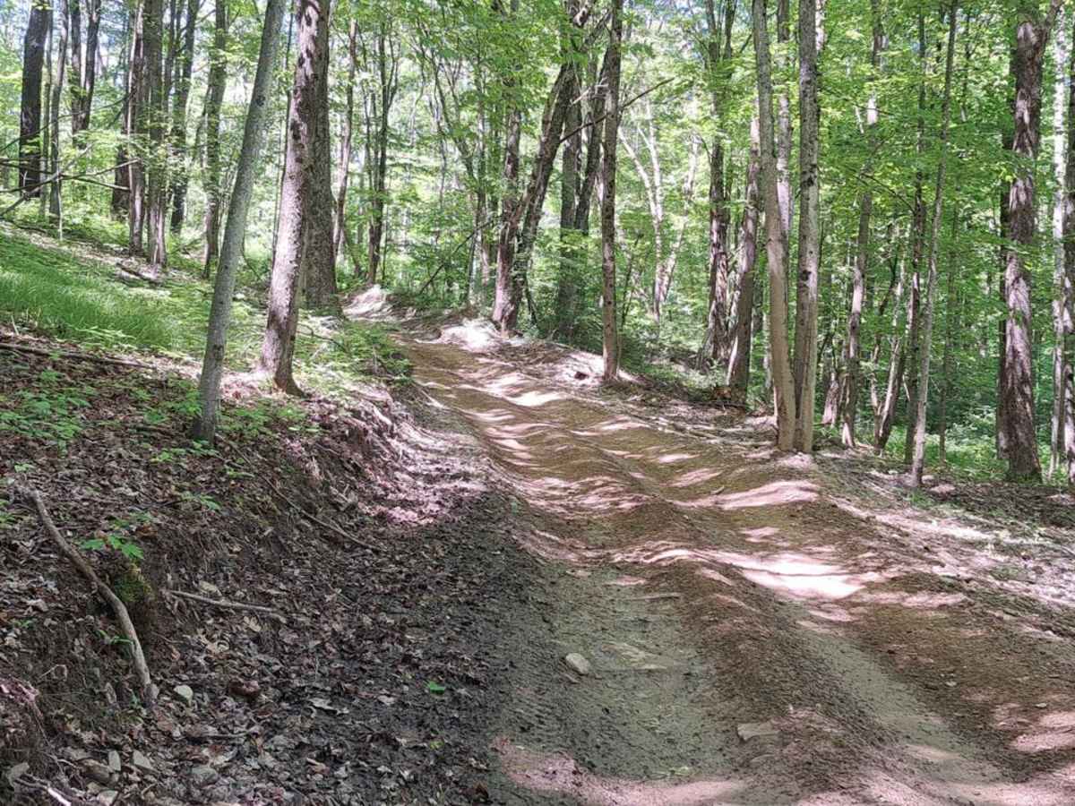 Mouse trail photo