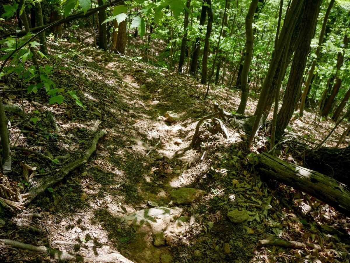 Stage 6 trail photo