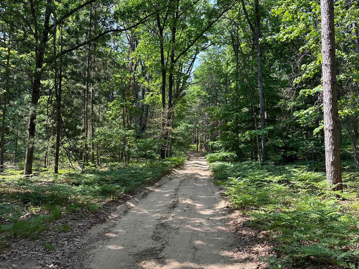 Trail 5389 photo 5