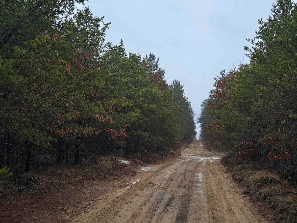 North Dow Road photo 5