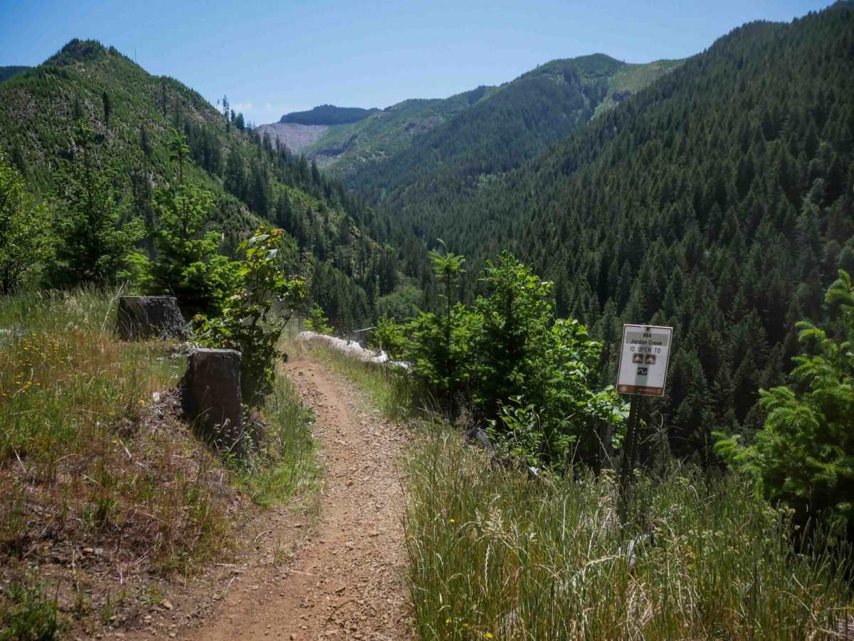 Jordan Creek #84 (Part 3) photo 2
