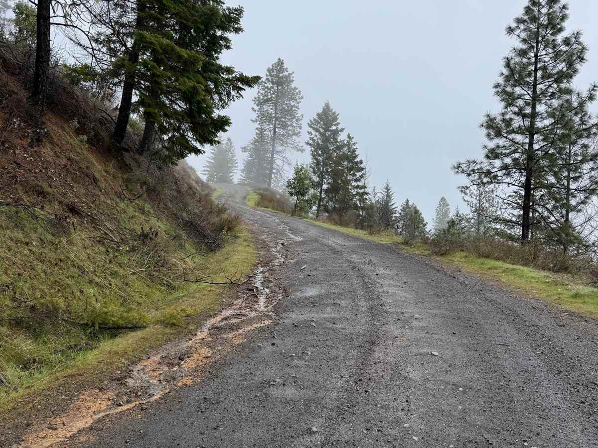 Taylor Ridge Road photo 5