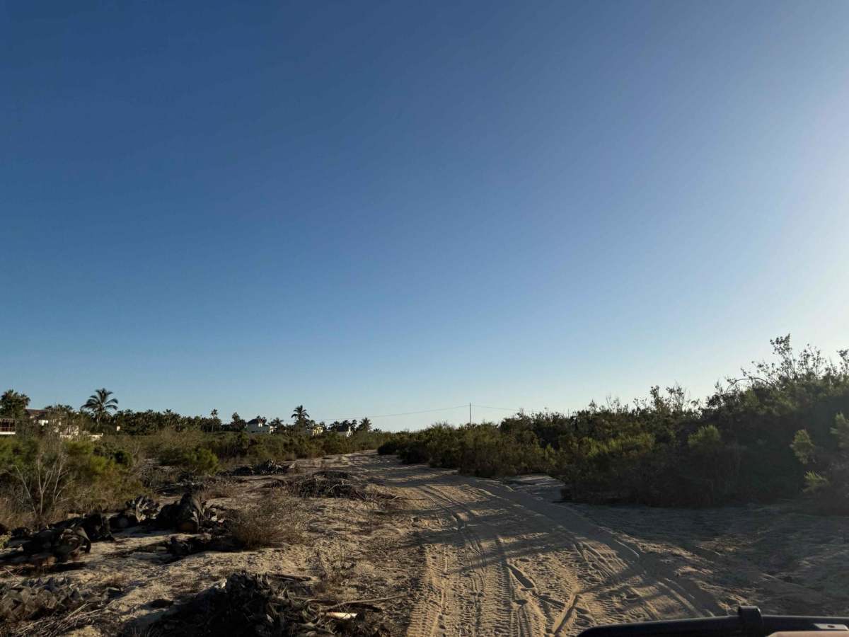 Whale Bone Road trail photo