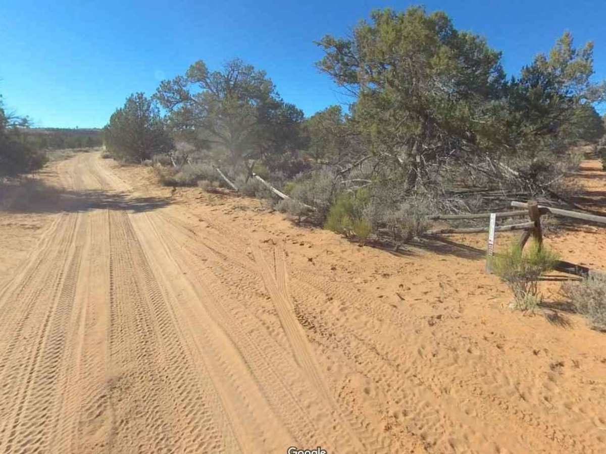 Sand Spring Road (BLM050) trail photo