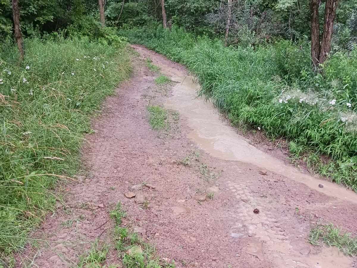 Trail 3C - Rock Run Recreation Area photo 2