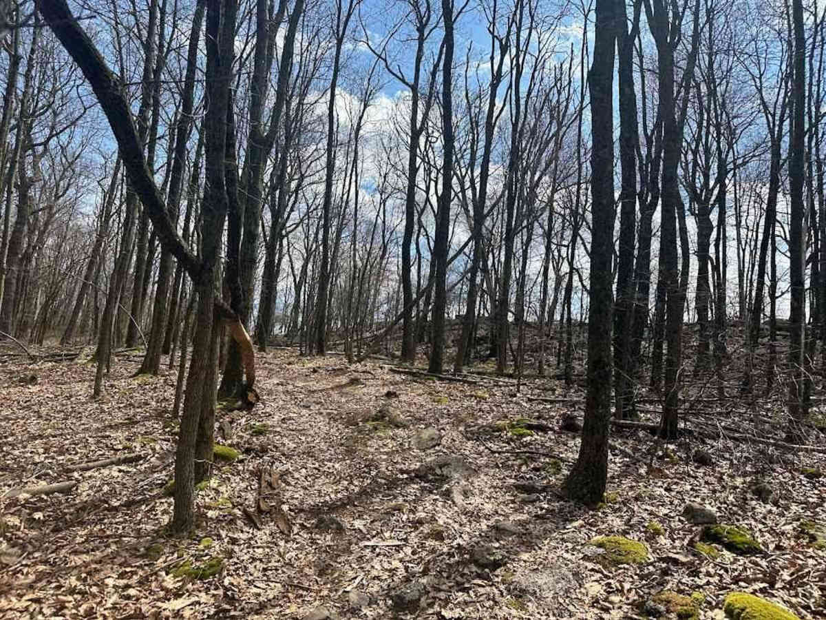 Ashland 179 photo 3