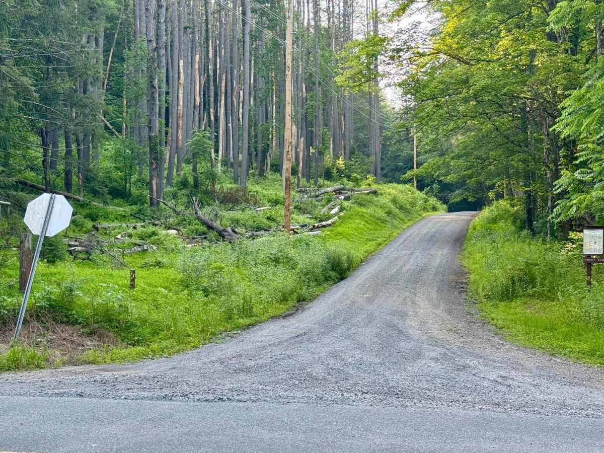 Trout Run Road photo 3