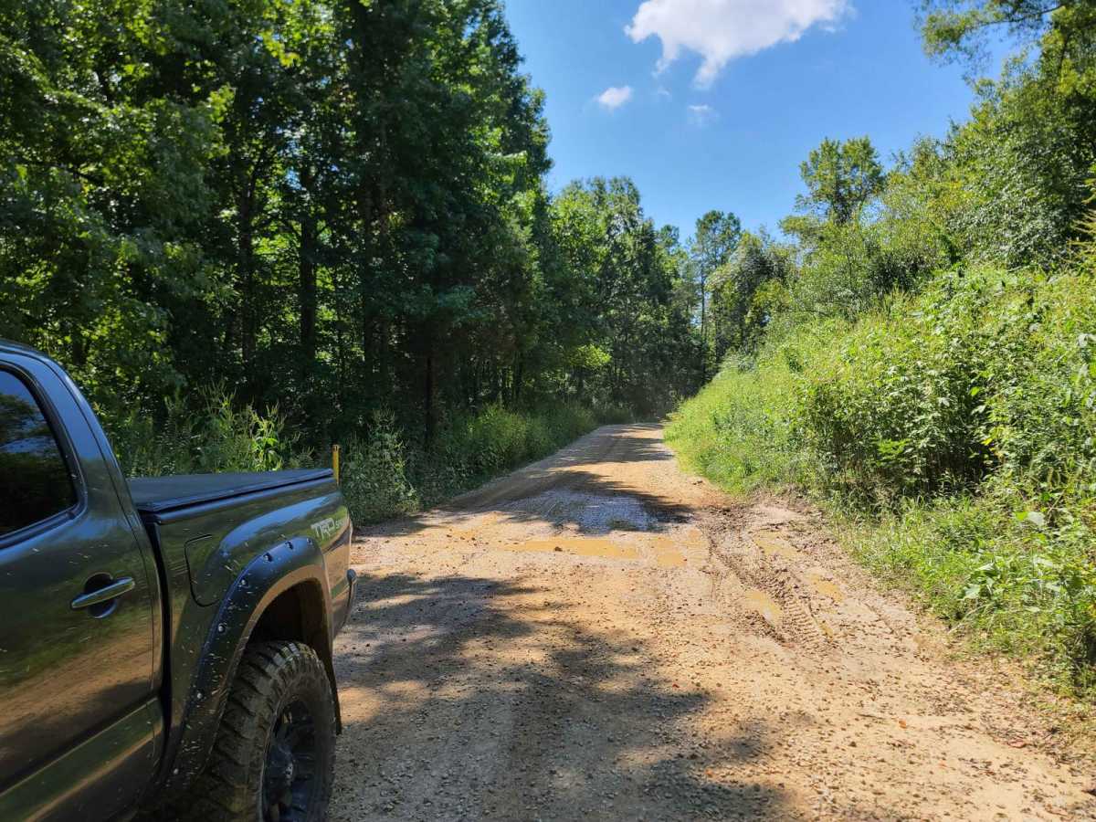 Flatwoods Road - Trail 1 photo 5