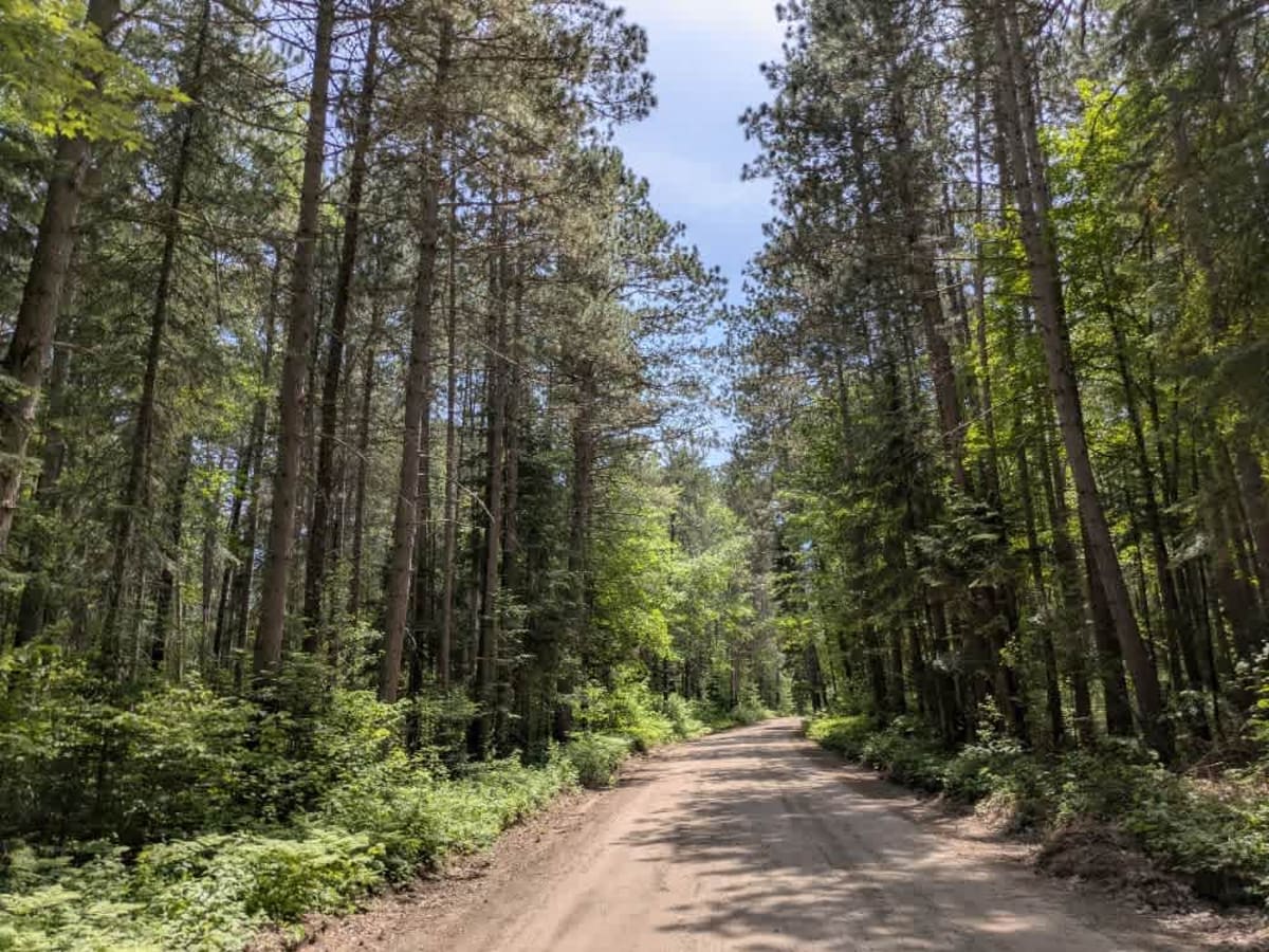 Country Road 158 photo 2