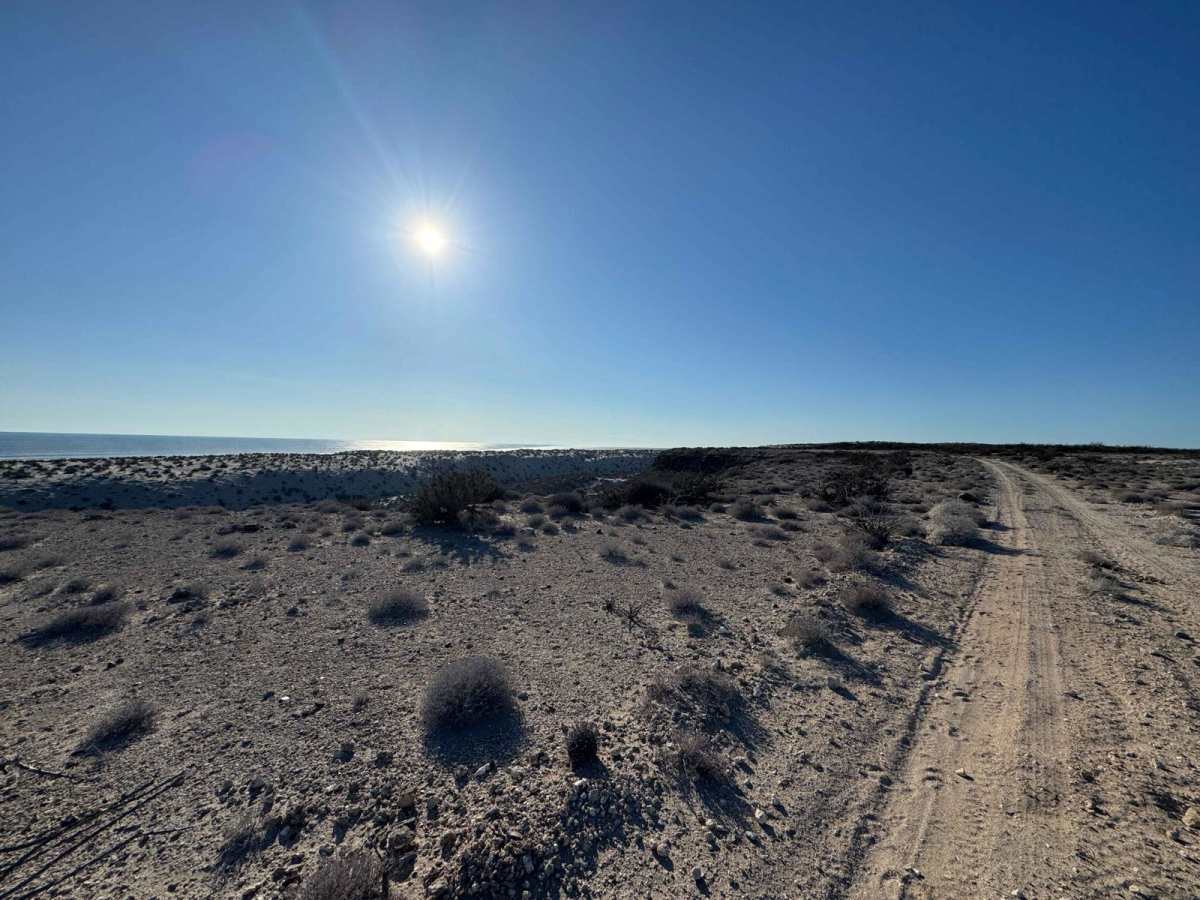 High Mesa Rim trail photo