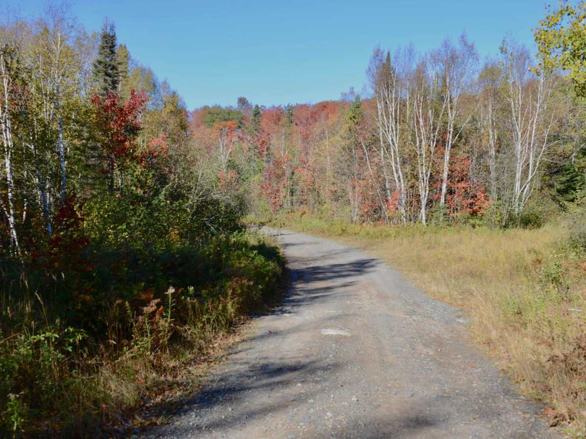Dishno Road photo 2