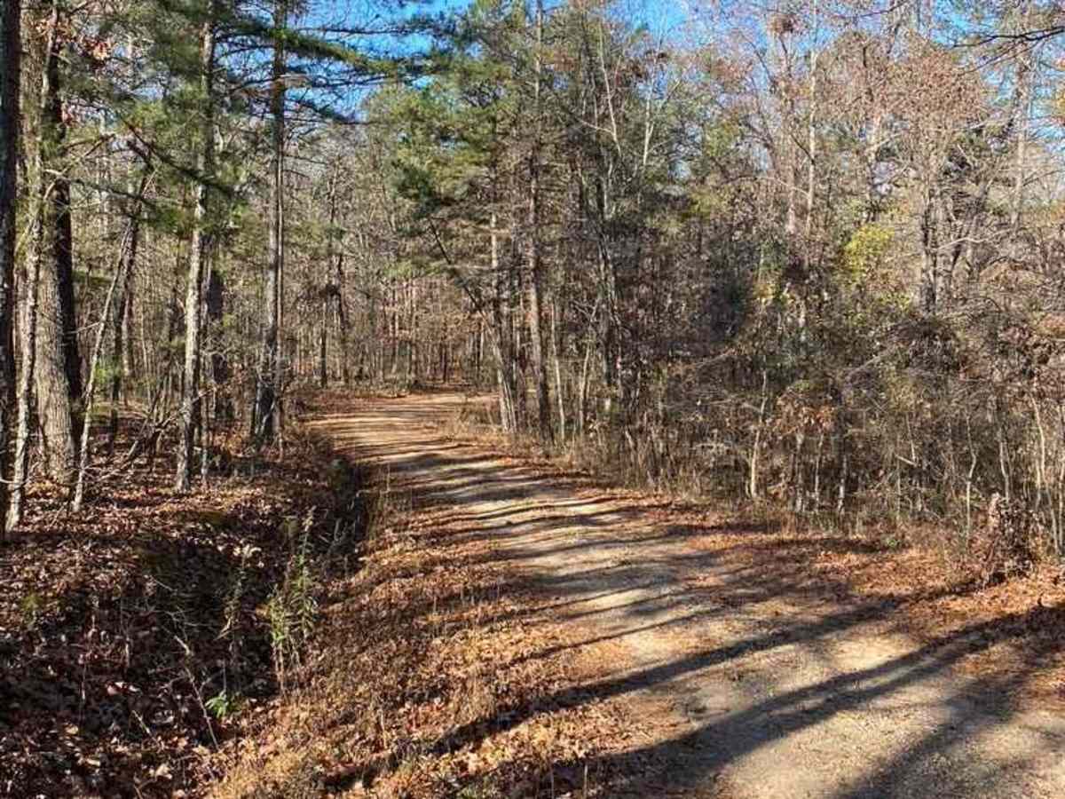 Smoot Hollow FSR 3846 photo 3